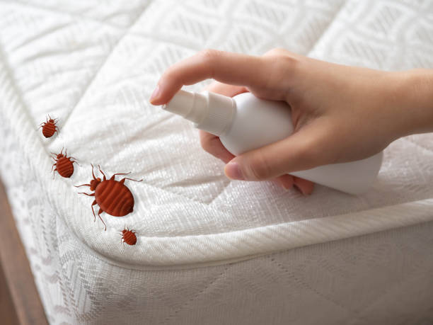 Best Pest Prevention Services  in Kountze, TX